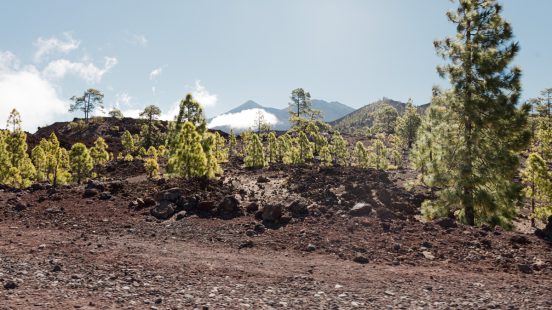 Vuelta Teide 2023 38